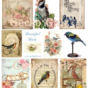 Beautiful Birds Digital Collage Sheet