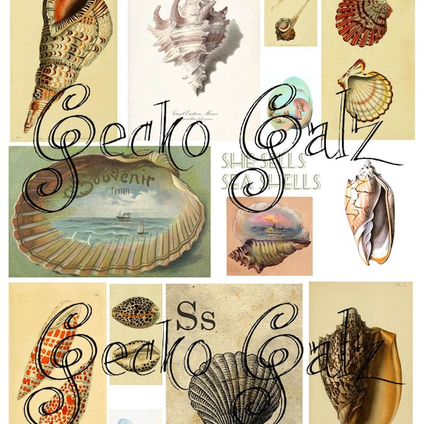 She Sells Sea Shells Digital Collage Sheet