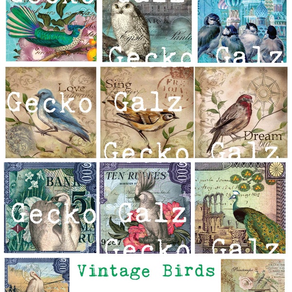 Vintage Birds Collage Sheet