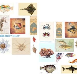 May include: A collage of vintage illustrations featuring various sea creatures, including a seahorse, starfish, octopus, pufferfish, stingray, crab, and various fish. The text "HERE FISHY FISHY" is printed at the bottom of the collage.