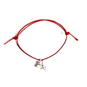 Puede incluir: Un brazalete de cuerda roja con un dije de delfín plateado.
