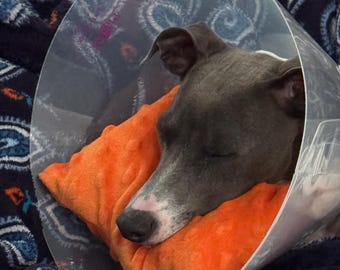 Pet recovery collar pillow, dog pillow, Elizabethan dog collar pillow, cone of shame pillow, dog cone pillow