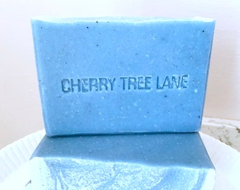 SILVER SPRINGS Blue Clay Soap, Cp Soap, Silver Ion Clay Soap, Cambrian Blue Clay Soap, Handmade Soap, Female Owned Soap Business, Blue Soap