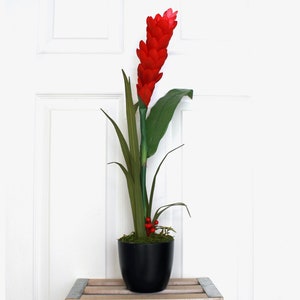 Silk Floral Arrangement - Red Flower in Black Vase (A22-70)