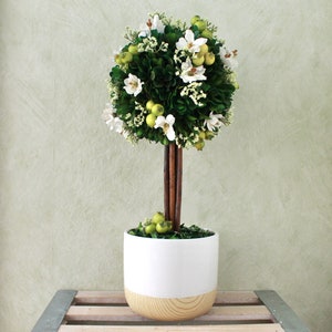 Topiary Decor - Preserved Boxwood | White | Green (A21-139)
