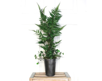 Artificial Plant | Fern Decor (P24-5)