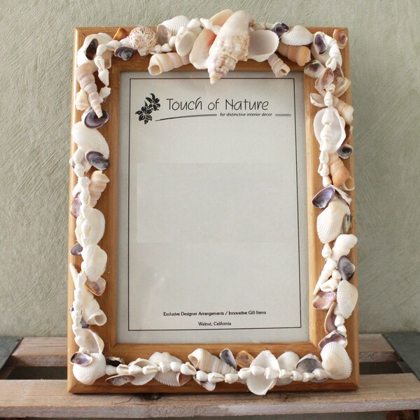 Seashell Frame Etsy