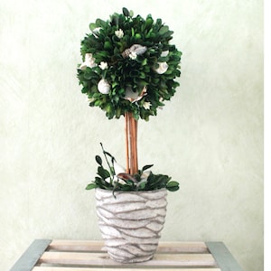 Preserved Boxwood Topiary Decor (A22-110)
