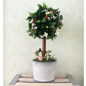 Preserved Boxwood Topiary - Berries | Kokeshi (A21-201)