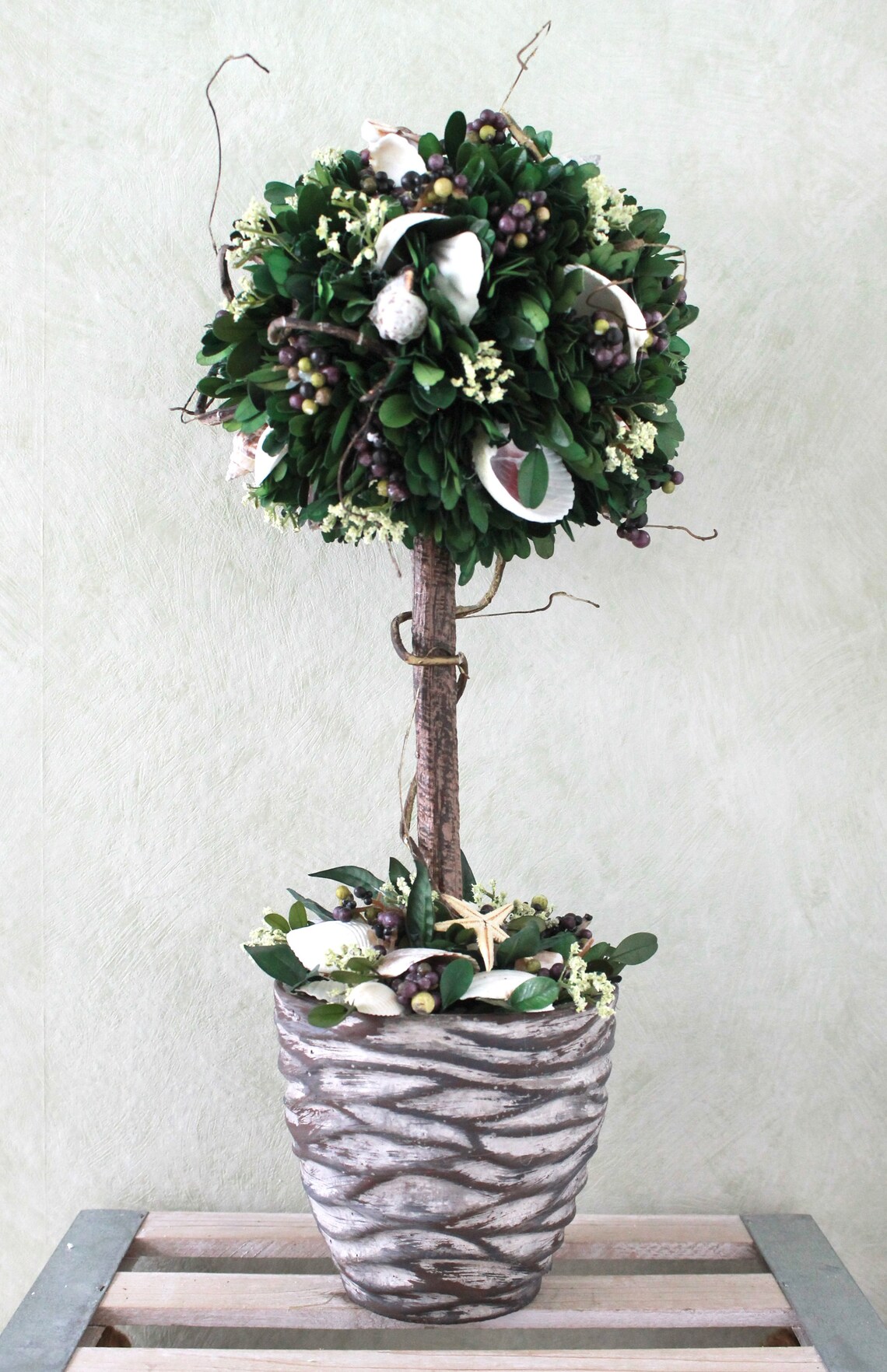 Tabletop Topiary Tree Preserved Boxwood Seashell A21153 Etsy