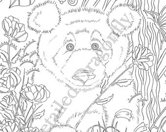 Panda Coloring Page Bear Adult Pages For Kids Animal Cute