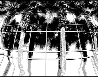 Palmboom Kleurplaten Etsy