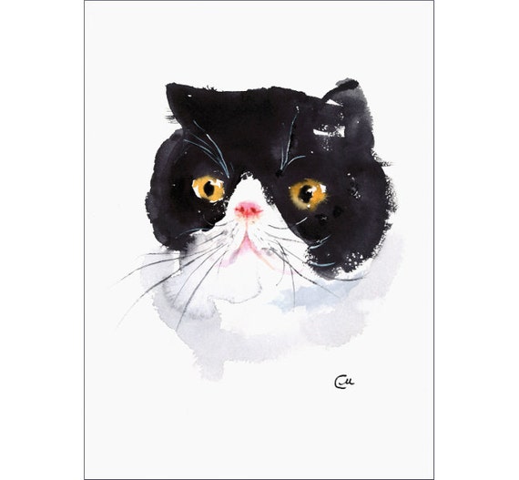 Exotic Shorthair Cat Original Watercolor Painting 7 X 9 5 Etsy