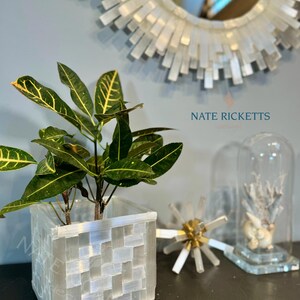May include: A white selenite crystal planter with a green plant inside. The planter is made of small, square pieces of selenite that are arranged in a grid pattern. The plant is a small, leafy plant with green leaves. The planter is sitting on a dark surface. The image also includes a selenite crystal sunburst mirror and a glass cloche with a decorative piece inside.