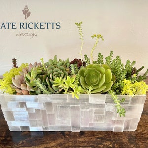May include: A white selenite crystal planter filled with a variety of succulents, including echeveria, sedum, and sempervivum. The planter is made from natural selenite crystals, which are known for their calming and purifying properties. The planter is a beautiful and unique way to display succulents.