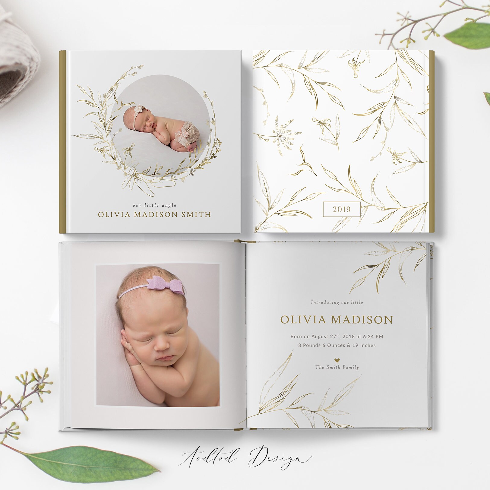 DIY Editable Baby Photo Album, Newborn Photography, Baby Book, Newborn  Template 12x12 Corjl Template RN001C INSTANT DOWNLOAD 