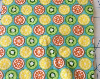 Vintage Citrus Potholder: Retro Lemons, Orange & Kiwi Quilted Hotpad