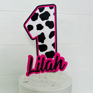 Cowgirl Cake Topper, Western Cake Topper, Cowgirl Party Decor, Western Party Decor, Cowgirl Party, Rodeo Themed Cake Topper