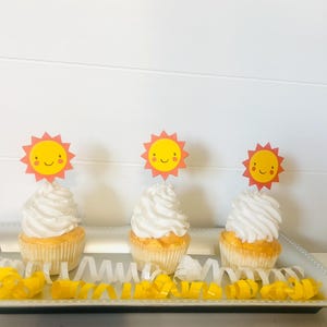 Sun Cupcake Toppers, Summer Party Decorations, Sunny Birthday Cupcake Picks, Sunflower Cake Toppers, Tropical Party Decor, Sunshine Cupcake