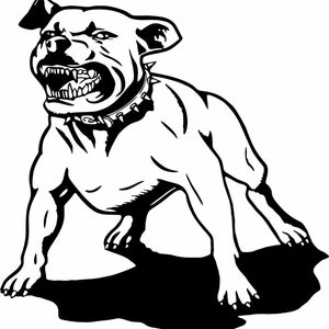 Op de afbeelding: Zwart-witte illustratie van een grommende pitbull met een geprikte halsband. De hond staat in een verdedigende houding met zijn tanden bloot.