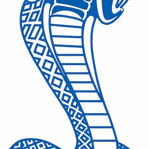 Pit viper 2024 windshield sticker