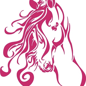 Horse Western Rodeo Cowgirl Farm Car Truck Window Laptop Vinyl Decal Sticker