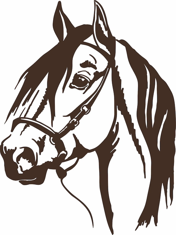 Cowgirl Cowboy Horse Rodeo Western Car Truck Window Laptop Vinyl Decal Sticker