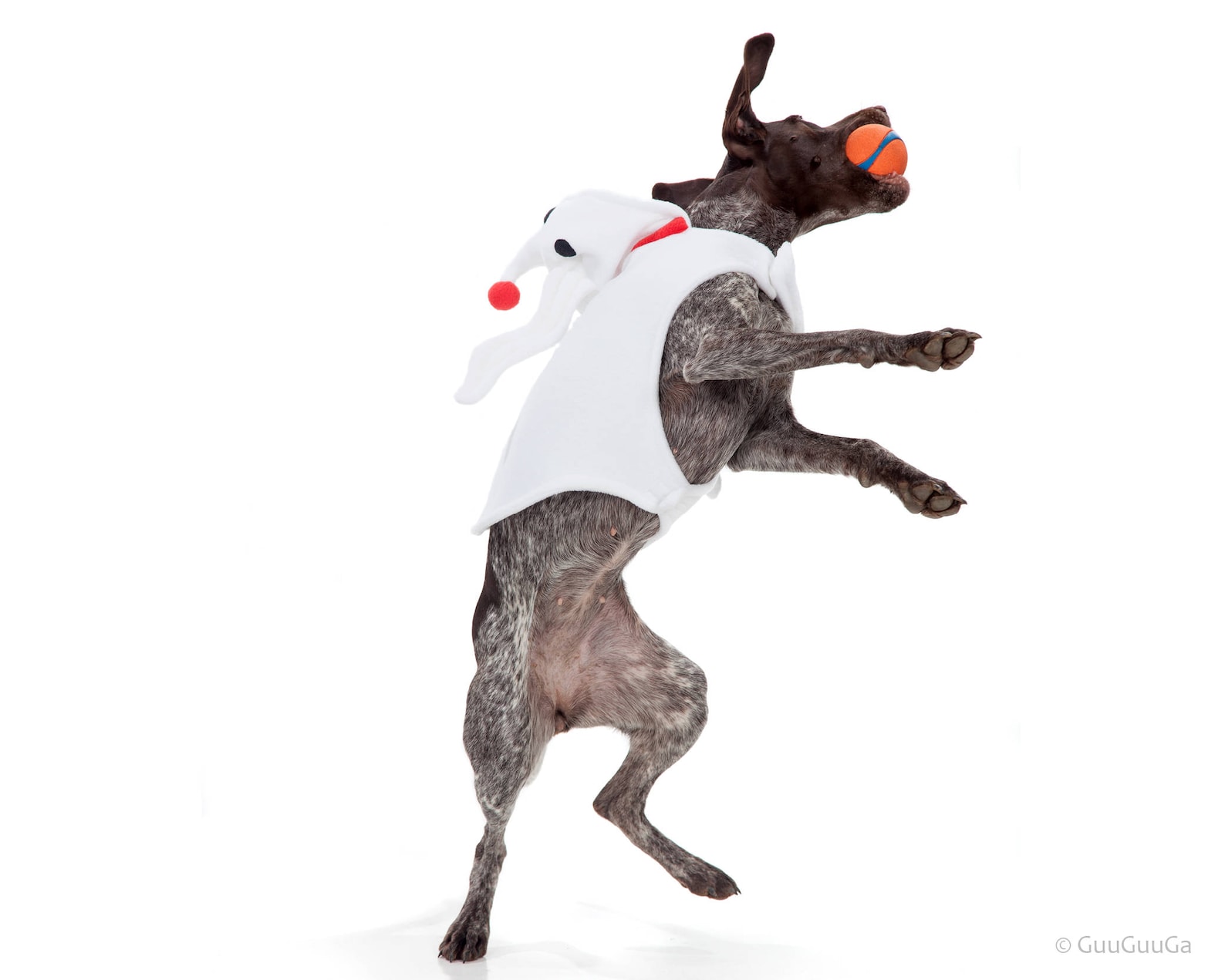 Christmas Zero the Dog Halloween Costume For Dog MADE TO Etsy