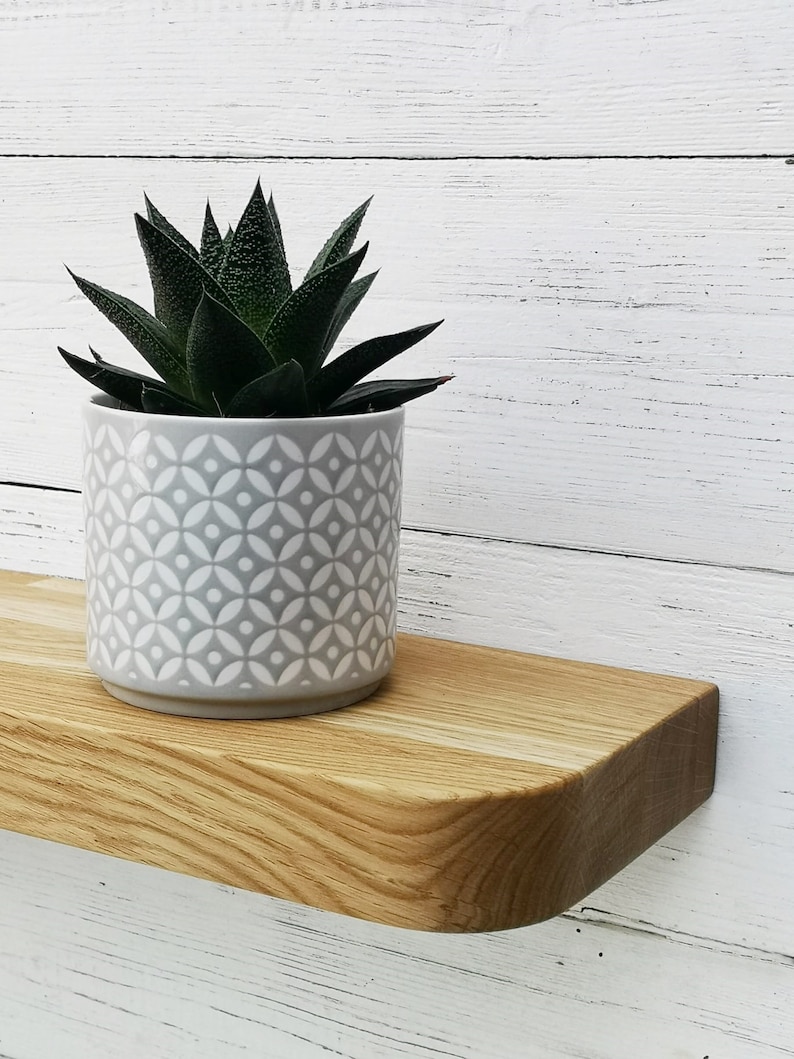 May include: A light wood shelf with rounded edges, mounted on a white wall. A gray planter with a white geometric pattern holds a green succulent plant.