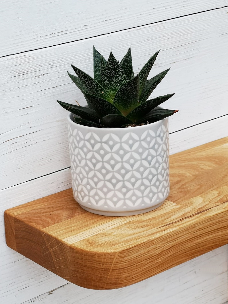 Pu&ograve; includere: Una piccola pianta succulenta in un vaso di ceramica bianca con un motivo geometrico si trova su uno scaffale di legno. Lo scaffale &egrave; in legno naturale con un bordo arrotondato.