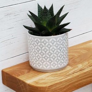 May include: A small succulent plant in a white ceramic pot with a geometric pattern sits on a wooden shelf. The shelf is made of natural wood and has a rounded edge.