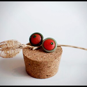 Puede incluir: Un par de pendientes con cabujones de vidrio rojo y verde, colocados sobre una superficie de corcho con un tallo de planta seca.