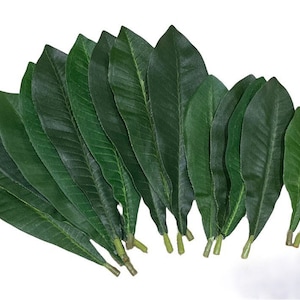 Set of 18 Plumeria Leaves, Silk Flowers, Floral Embellishments, Craft Supplies, Craft Leaves, Tropical Leaves