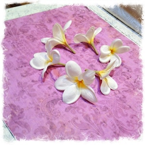 12 Plumerie tropicali, fiori artificiali, fiori di seta, corona di fiori, cappelleria, matrimonio fai da te, accessori per capelli