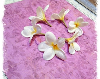 12 Tropical Plumerias, Artificial Flowers, Silk Flowers, Flower Crown, Millinery, DIY Wedding, Hair Accessories