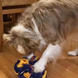 Dog Treat Ball, Search Treat Puzzle, Gift for Dog Lovers, Gift for Pet Owner, Play Feeder, Plush Toy Game, Puppy Hunting, Gift for Cat Owner