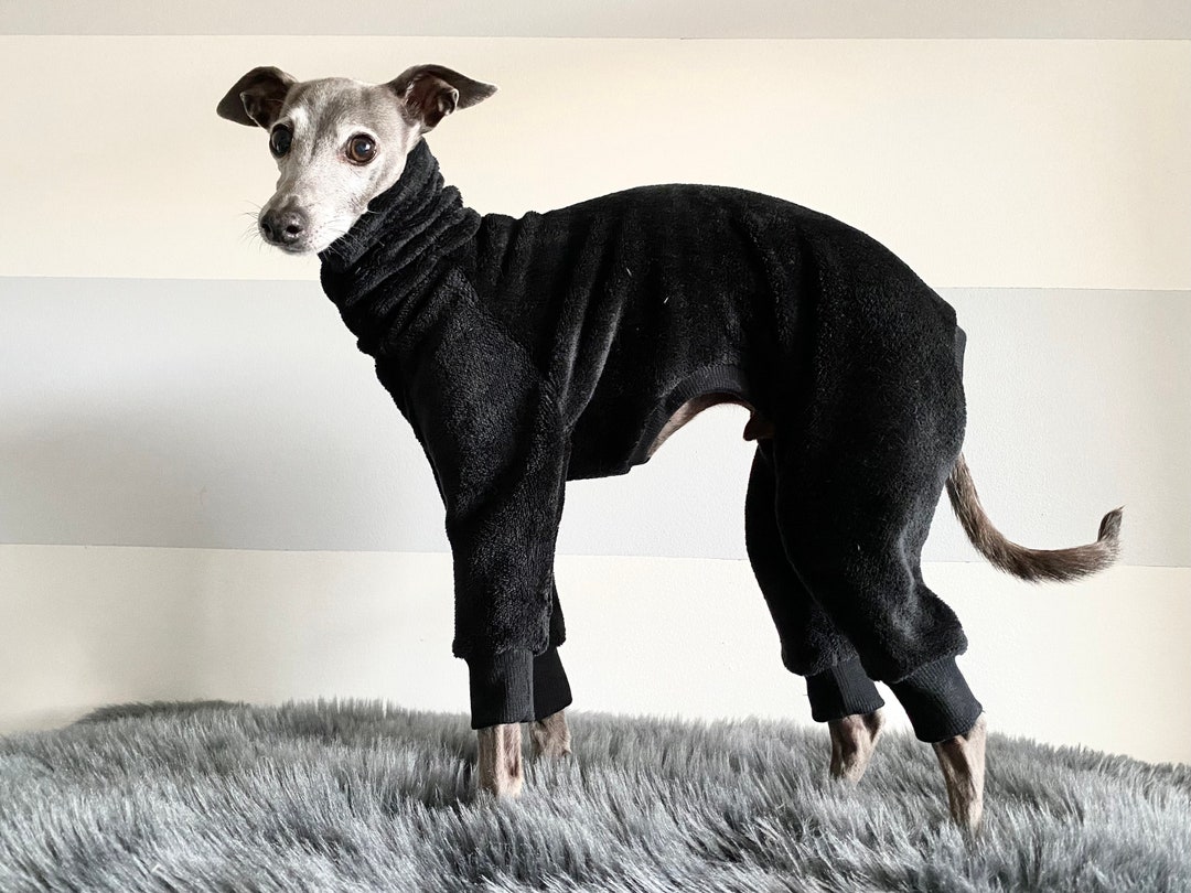 Italian Greyhound Black Fleece Pajamas. Jammies. Winter PJ for IG ...