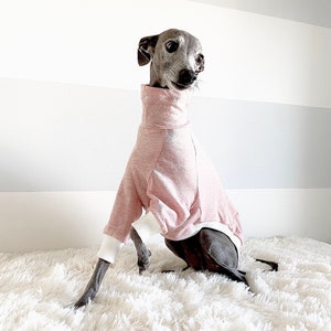 Italian greyhound. Pink T-shirts. Comfortable Shirt. Small Breed. Whippet image 2