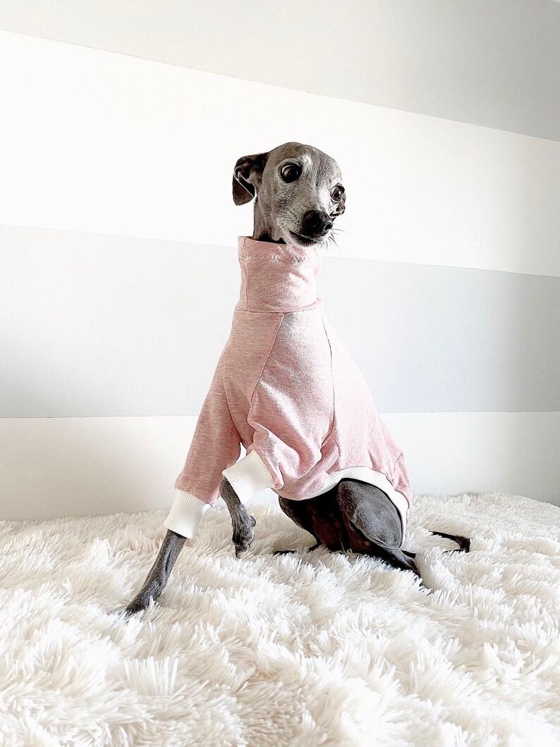 Italian greyhound. Pink T-shirts. Comfortable Shirt. Small Breed. Whippet image 2