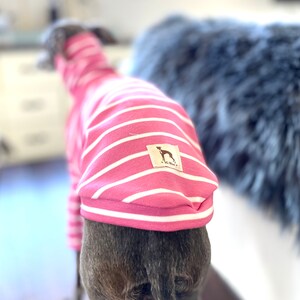 May include: A pink and white striped dog sweater with a brown label that says "IG Blue" and a small silhouette of a dog.