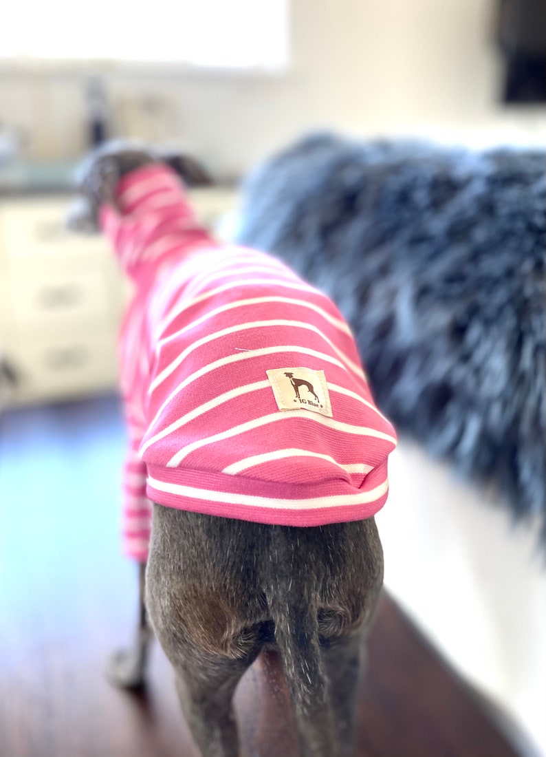 May include: A pink and white striped dog sweater with a brown label that says "IG Blue" and a small silhouette of a dog.