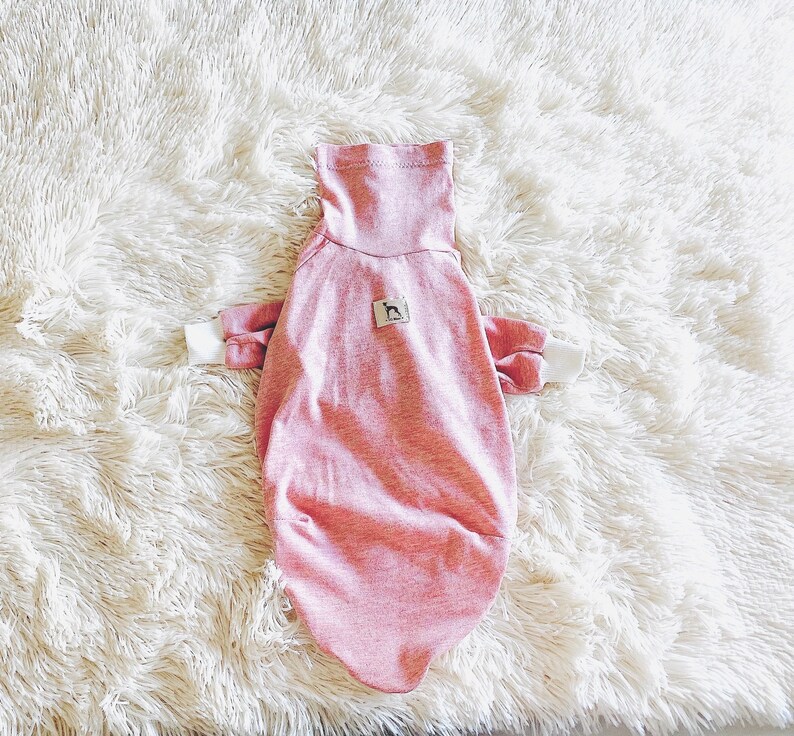 May include: A pink turtleneck sweater for a small dog. The sweater has a white trim around the neck and sleeves. The sweater has a small logo on the front.
