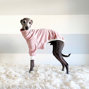 May include: A small, grey and brown Italian Greyhound dog wearing a pink sweater with white trim. The dog is standing on a white fluffy rug.
