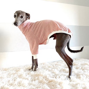 Italian greyhound. Pink T-shirts. Comfortable Shirt. Small Breed. Whippet image 3