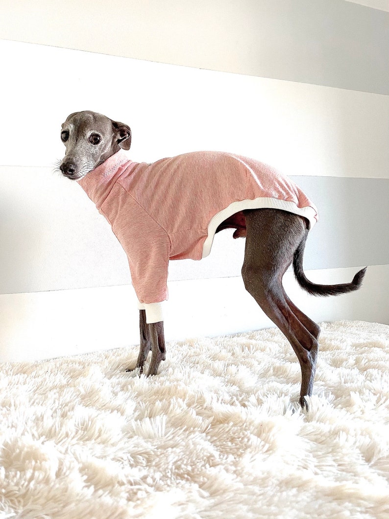 Italian greyhound. Pink T-shirts. Comfortable Shirt. Small Breed. Whippet image 3