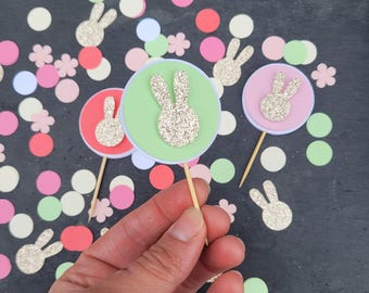 Some Bunny is One Cupcake Toppers for Bunny Birthday Some Bunny First Birthday for Baby's Birthday Bunny Floral oh Baby Some Bunnys Expectin