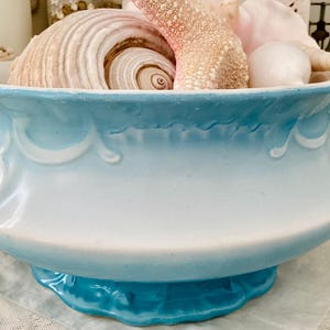May include: A large, blue and white ceramic bowl with a handle, decorated with a white floral design. The bowl is filled with seashells.
