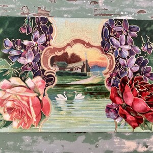 Cartes postales, Éphémères, Forget Me Nots, Roses, Antiquités en relief