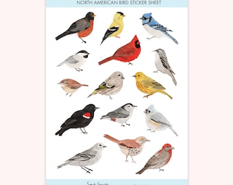 Stickers oiseaux d'Amérique du Nord - Stickers oiseaux des États-Unis - Stickers nature américaine - Stickers illustrations d'oiseaux des États-Unis - Stickers oiseaux d'Amérique