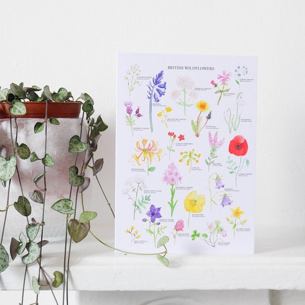 Britische Wildblumen Karte - Blumen-Gruß-Karte - Wildflower Illustration - britische Natur Druck - Blumendruck - botanische Druck